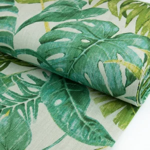 Botanical Range—Tropical Forest